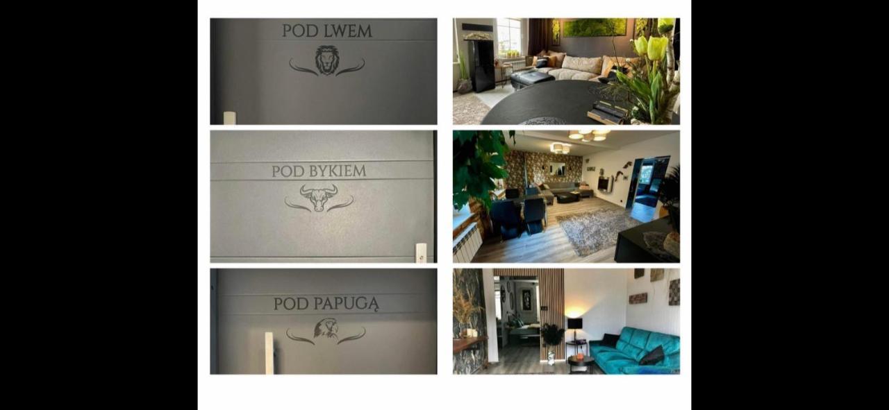 Pod Lwem Apartment Koscierzyna Exterior photo